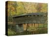 Humpback Covered Bridge, Covington, Virginia, USA-Charles Gurche-Stretched Canvas