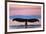 Humpback Fluke and Sunset-Lantern Press-Framed Art Print