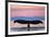 Humpback Fluke and Sunset-Lantern Press-Framed Premium Giclee Print