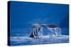 Humpback Whale, Alaska-null-Stretched Canvas