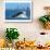 Humpback Whale at Gold Coast-null-Art Print displayed on a wall