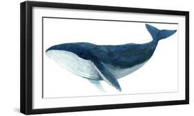 Humpback Whale - Blue-Jeannine Saylor-Framed Art Print