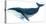 Humpback Whale - Blue-Jeannine Saylor-Stretched Canvas