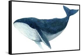 Humpback Whale - Blue-Jeannine Saylor-Framed Stretched Canvas