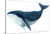 Humpback Whale - Blue-Jeannine Saylor-Stretched Canvas