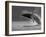 Humpback Whale Breaching, Chatham Strait, Angoon, Tongass National Forest, Alaska, Usa-Paul Souders-Framed Photographic Print