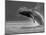 Humpback Whale Breaching, Chatham Strait, Angoon, Tongass National Forest, Alaska, Usa-Paul Souders-Mounted Photographic Print