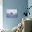 Humpback Whale Breaching from the Atlantic Ocean-DLILLC-Stretched Canvas displayed on a wall