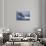 Humpback Whale Breaching from the Atlantic Ocean-DLILLC-Stretched Canvas displayed on a wall