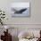 Humpback Whale Breaching from the Atlantic Ocean-DLILLC-Stretched Canvas displayed on a wall