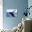 Humpback Whale Breaching from the Atlantic Ocean-DLILLC-Stretched Canvas displayed on a wall