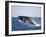 Humpback Whale Breaching from the Atlantic Ocean-DLILLC-Framed Photographic Print