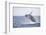 Humpback Whale Breaching from the Atlantic Ocean-DLILLC-Framed Photographic Print