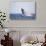 Humpback Whale Breaching from the Atlantic Ocean-DLILLC-Stretched Canvas displayed on a wall