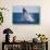 Humpback Whale Breaching from the Atlantic Ocean-DLILLC-Stretched Canvas displayed on a wall