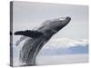 Humpback Whale Breaching in Frederick Sound-Paul Souders-Stretched Canvas