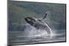 Humpback Whale Breaching in Frederick Sound-Paul Souders-Mounted Photographic Print