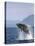 Humpback Whale Breaching, Inside Passage, Alaska, USA-Stuart Westmoreland-Stretched Canvas