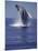 Humpback Whale Breaching-Michele Westmorland-Mounted Premium Photographic Print