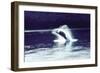 Humpback Whale Breaching-John Bortniak-Framed Art Print