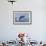 Humpback Whale Calf Breach in Disko Bay in Greenland-Paul Souders-Framed Photographic Print displayed on a wall