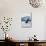 Humpback Whale, Douglas, Alaska-Lantern Press-Stretched Canvas displayed on a wall