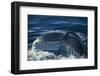 Humpback Whale Fluke-DLILLC-Framed Photographic Print