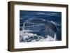 Humpback Whale Fluke-DLILLC-Framed Photographic Print