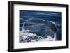 Humpback Whale Fluke-DLILLC-Framed Photographic Print