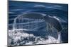 Humpback Whale Fluke-DLILLC-Mounted Photographic Print