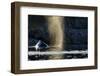 Humpback Whale in Disko Bay in Greenland-Paul Souders-Framed Photographic Print