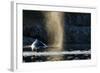 Humpback Whale in Disko Bay in Greenland-Paul Souders-Framed Photographic Print