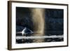 Humpback Whale in Disko Bay in Greenland-Paul Souders-Framed Photographic Print