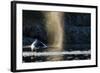 Humpback Whale in Disko Bay in Greenland-Paul Souders-Framed Photographic Print