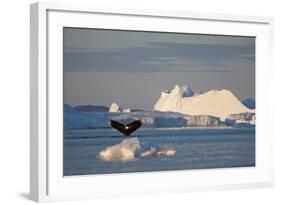 Humpback Whale in Disko Bay in Greenland-Paul Souders-Framed Photographic Print