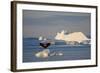 Humpback Whale in Disko Bay in Greenland-Paul Souders-Framed Photographic Print