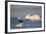 Humpback Whale in Disko Bay in Greenland-Paul Souders-Framed Photographic Print