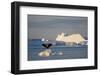 Humpback Whale in Disko Bay in Greenland-Paul Souders-Framed Photographic Print