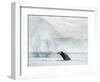 Humpback whale  in front of icebergs at the mouth of the Ilulissat Icefjord at Disko Bay, Greenland-Martin Zwick-Framed Photographic Print