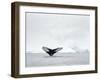 Humpback whale  in front of icebergs at the mouth of the Ilulissat Icefjord at Disko Bay, Greenland-Martin Zwick-Framed Photographic Print