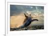 Humpback Whale Jump at Sunset against a Beautiful Sky. Madagascar. the Water Area of the Island of-GUDKOV ANDREY-Framed Photographic Print