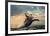 Humpback Whale Jump at Sunset against a Beautiful Sky. Madagascar. the Water Area of the Island of-GUDKOV ANDREY-Framed Photographic Print
