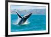 Humpback Whale Jumping out of the Water-KonArt-Framed Photographic Print