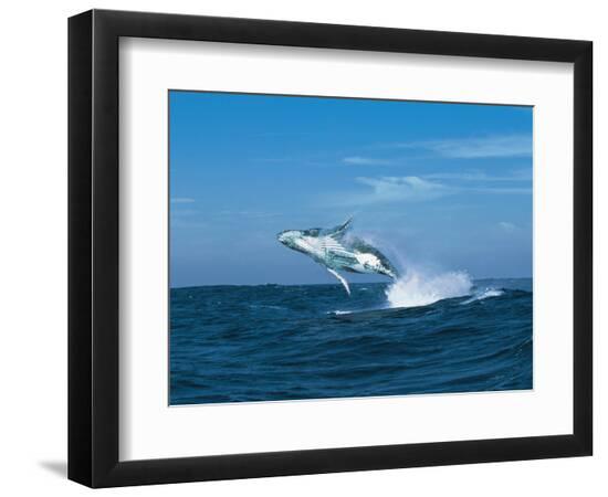 Premium Photographic Print, , large