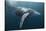 Humpback Whale (Megaptera Novaeangliae)-Reinhard Dirscherl-Stretched Canvas