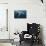 Humpback Whale (Megaptera Novaeangliae)-Reinhard Dirscherl-Photographic Print displayed on a wall