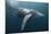 Humpback Whale (Megaptera Novaeangliae)-Reinhard Dirscherl-Mounted Photographic Print