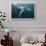 Humpback Whale (Megaptera Novaeangliae)-Reinhard Dirscherl-Framed Photographic Print displayed on a wall