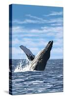 Humpback Whale - Ocean-Lantern Press-Stretched Canvas