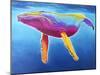 Humpback Whale - Rainbow-Dawgart-Mounted Giclee Print